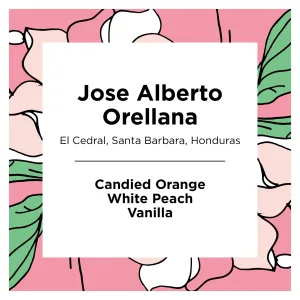 Jose Alberto Orellana | Honduras | Washed